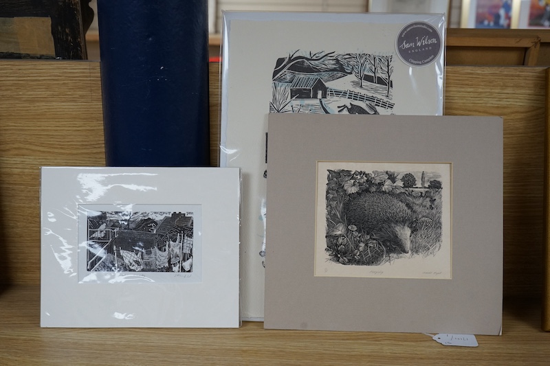 Three woodblock and woodcut prints, each unframed, comprising Sally Hands, ‘Swansea Valley’, Donald Myall, ‘Hedgehog’ and Sam Wilson, ‘Mr Blackbird in the country’, two limited edition, each signed in pencil, largest 38